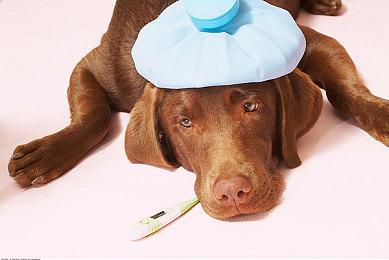 《黑神话》投资人采访：预估销量3000万份 DLC开发中